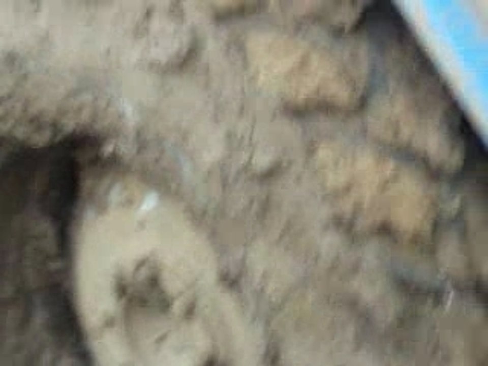 PA010275