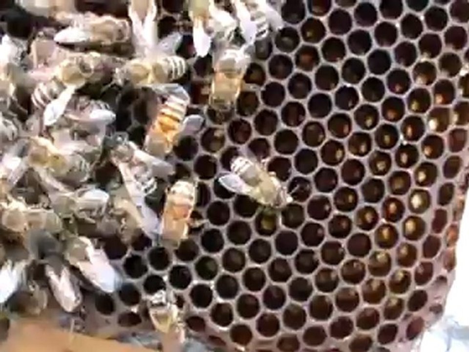 Bazele Matematicii - Curs 11 - Lectia.5 - Functii - clasa (9-12)