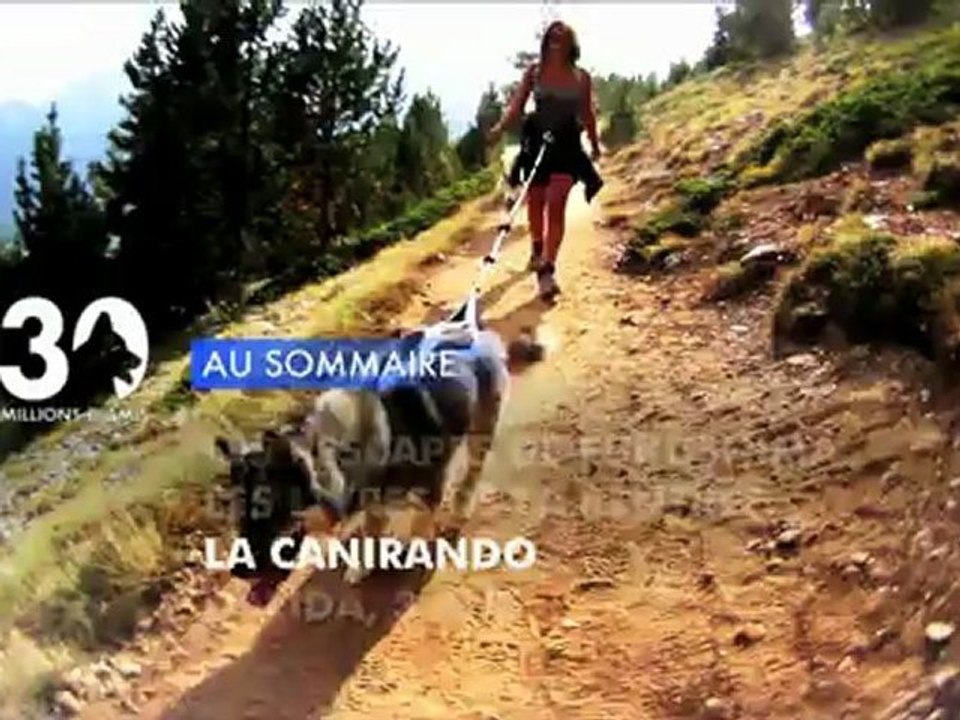 Sommaire émission 30 Millions d'Amis 22/9/2012