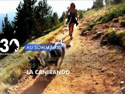 Sommaire émission 30 Millions d'Amis 22/9/2012