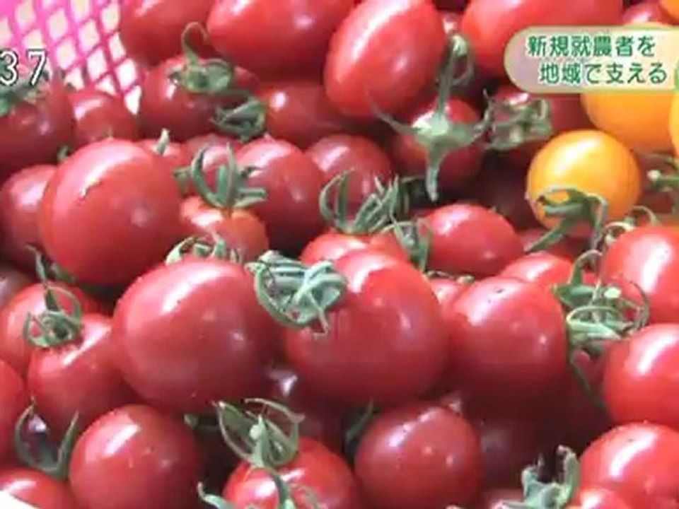 20120920 0a