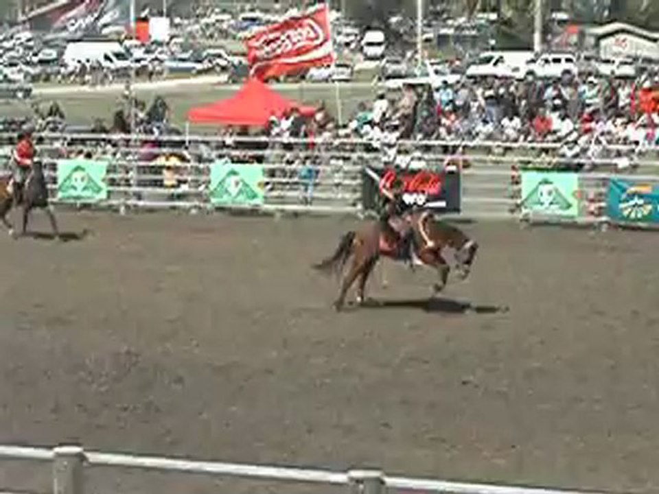 Rodéo foire de Koumac 4