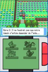 Walkthrough pokemon platine 05- Les éoliennes