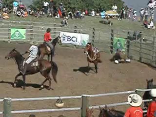 Rodéo foire de Koumak 5