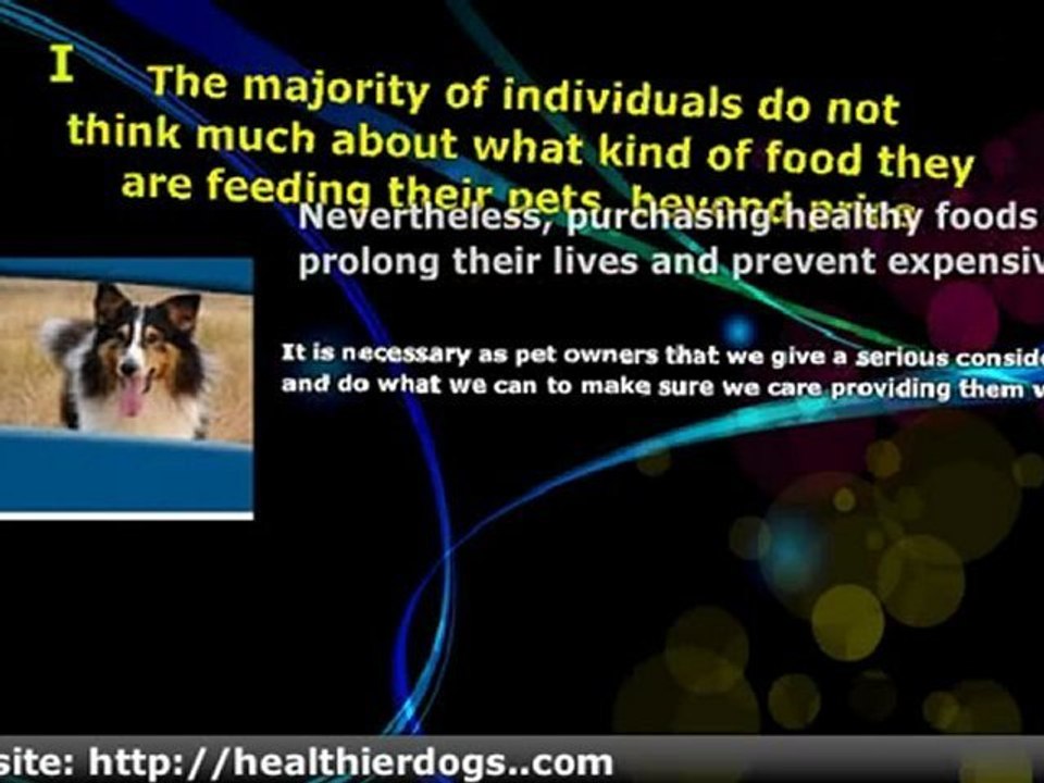 Dog Food - Healthy Is Better