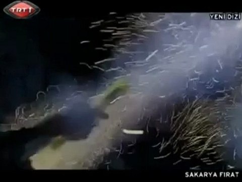 Master Sezer - Sana Canim Feda [ Şehitlerimiz İçin 2011 ]