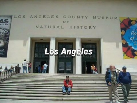 2008 Los Museos, Cursos Verano