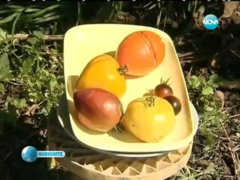 Garden Viskyar in Nova TV - Градина Вискяр по Нова телевизия