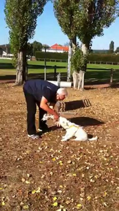 video highland