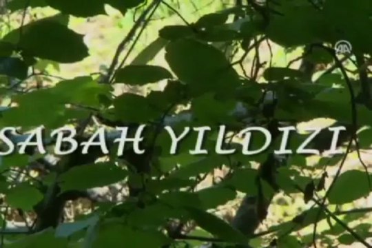 Bu hafta 6 film vizyona girecek