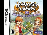 Working Download for Harvest Moon The Tale of Two Towns US DS ROM Game