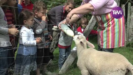 13 juillet 2012 - Le clos fleuri