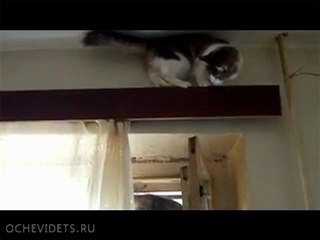 Закрой окно, дует