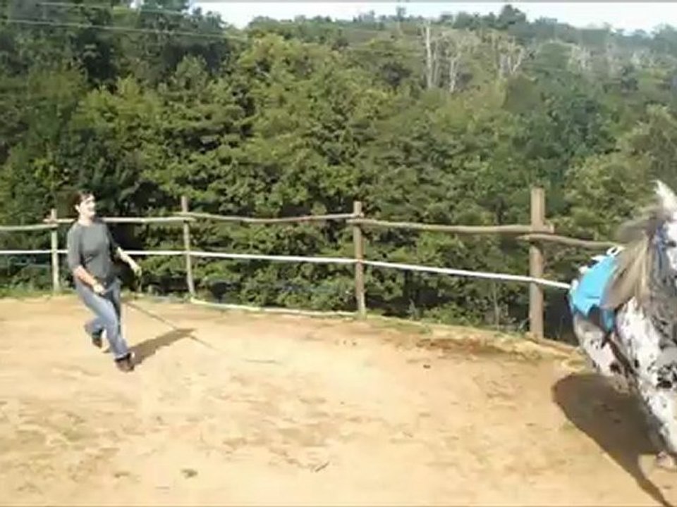 Kency saut