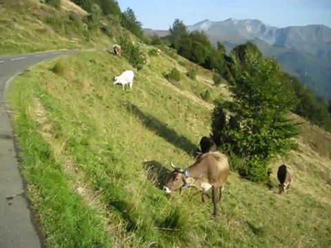 Jour 6 - Col d'Aubisque - Les Pyrénées d'Ouest en Est - Sept 2012