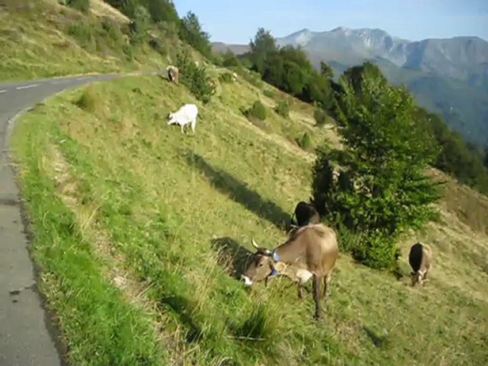 Jour 6 - Col d'Aubisque - Les Pyrénées d'Ouest en Est - Sept 2012