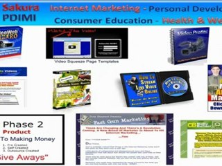 Online Marketing Training Courses Video Test Run From The PDIMI