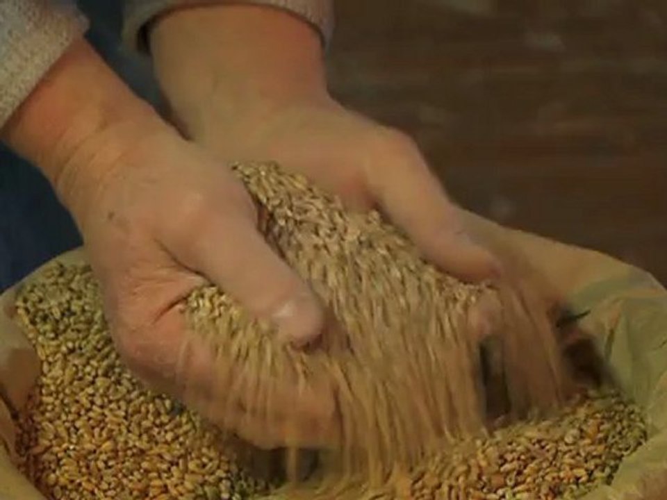 Le Moulin du Grillon