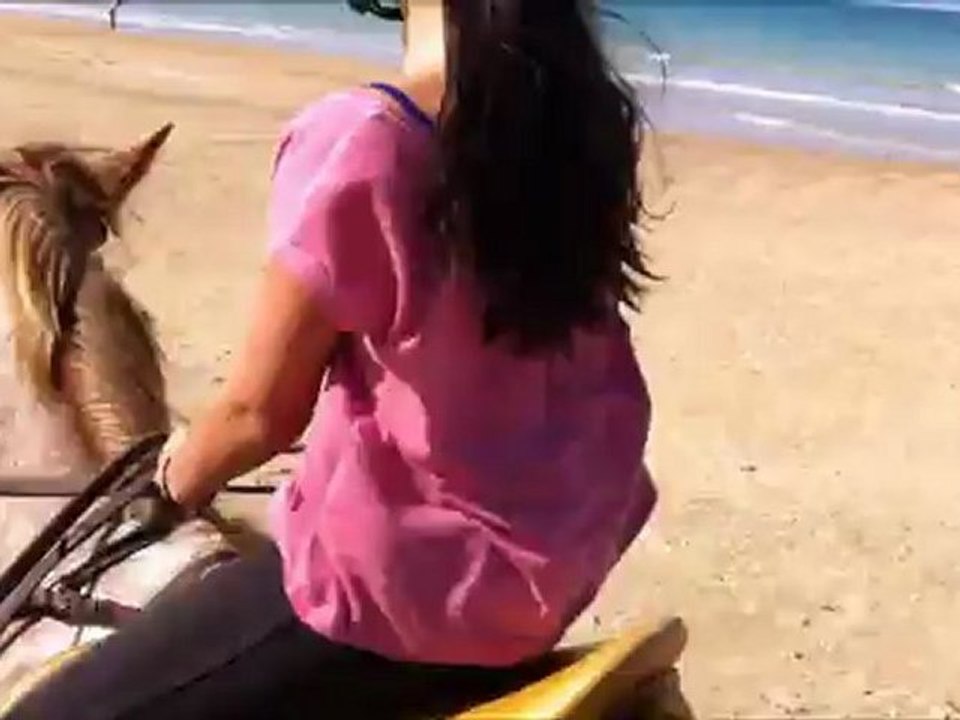 Mango poney criollo à vendre