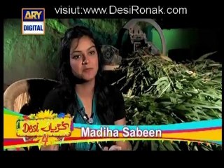 Desi Kuriyan ( Season 4 ) - Episode 16 - 20th September 2012 part 2
