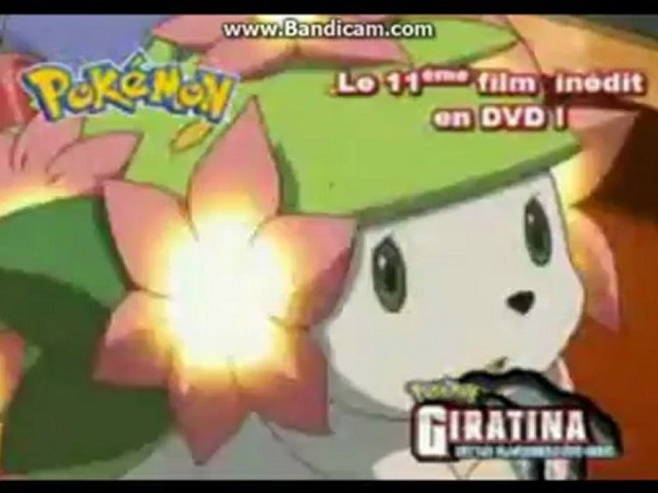 journal pokemon 2