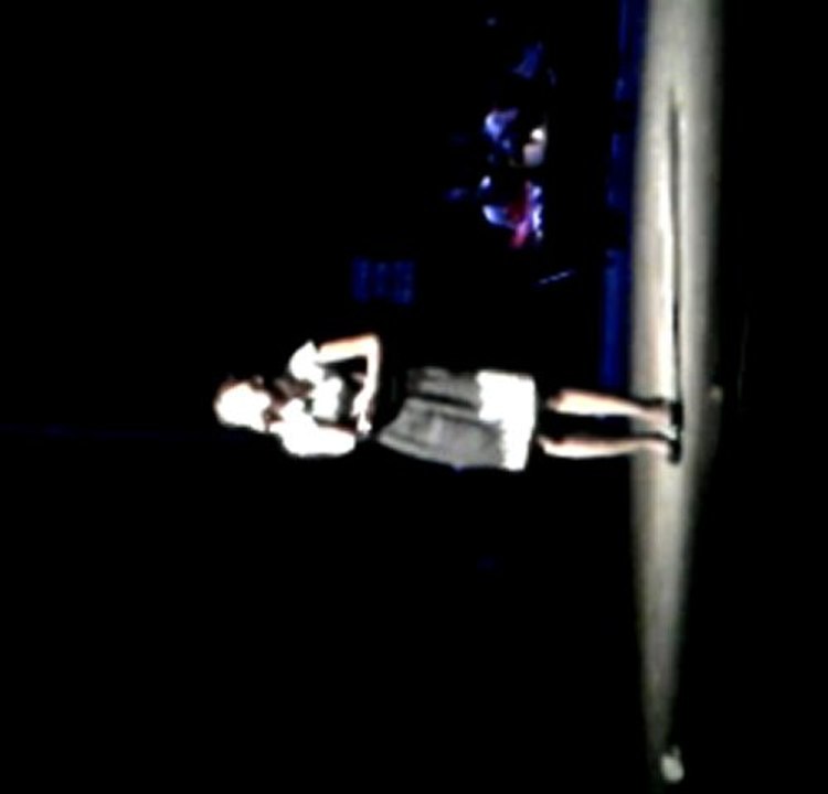 Fahriye Deriner - Bahçada Yeşil Çınar