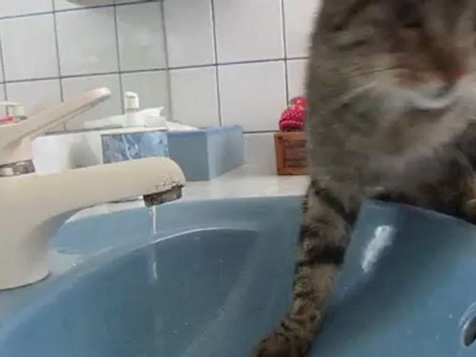 le cérémonial du lavabo