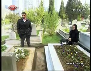 Maraz Ali Bahar Dallar