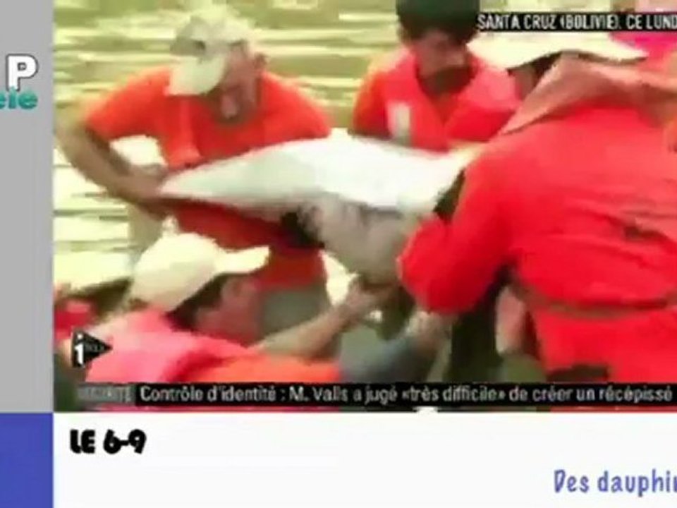 Zapping Actu du 21 Septembre 2012 - Entre menaces islamistes et menaces génétiques, Policier mal garé