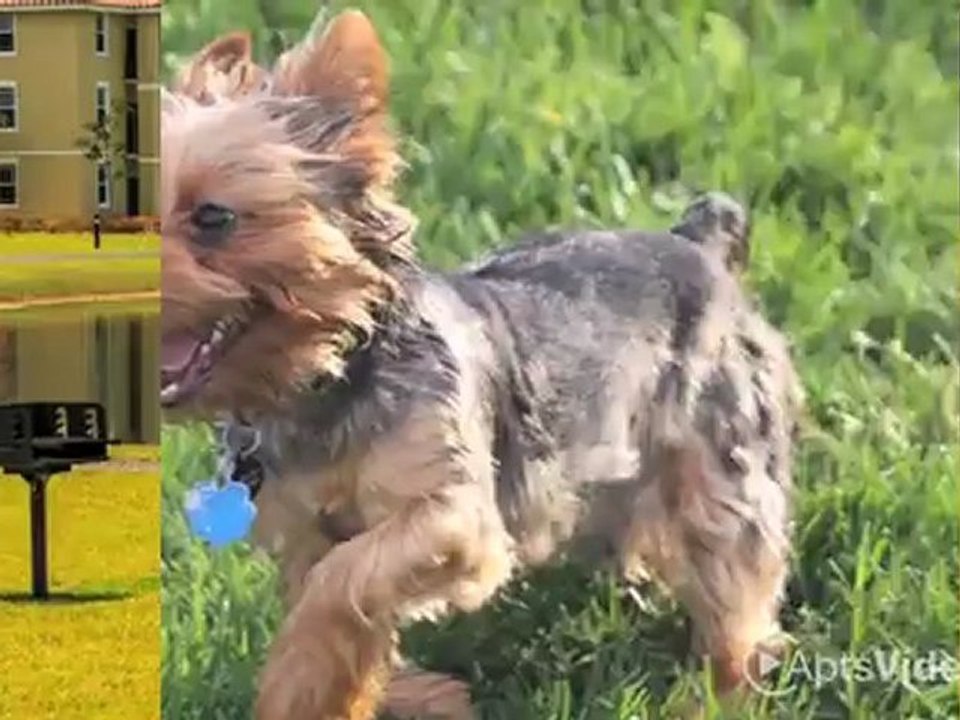 Wellington Club Apartments in Lake Worth, FL - ForRent.com