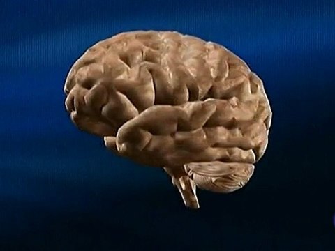 Estimulacion cognitiva y reserva cerebral: Alvaro Bilbao