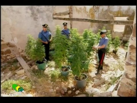 Ruoppolo Teleacras - Blitz stupefacente, 2 arresti