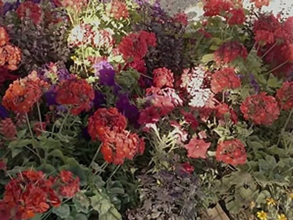 Quartier Latin - Shadows Light of Paris