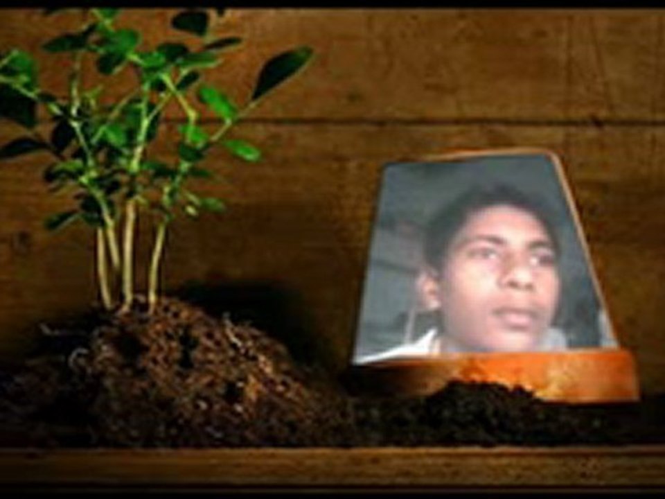 Mashalah BY ALI BHAI DREAMS KILLER