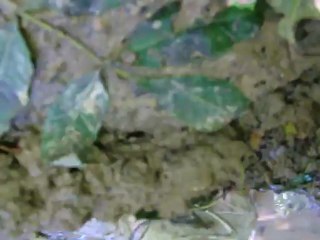 rando quad 140 kms 036