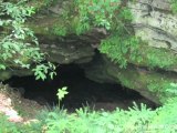 Artificial Cave Created for Bats