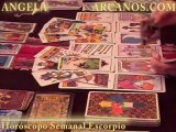 Horoscopo Escorpio del 19 al 25 de febrero 2012   - Lectura del Tarot