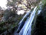 Rose-Valley-Falls-Los-Padres-National-forest,-Ojai[www.savevid.com]