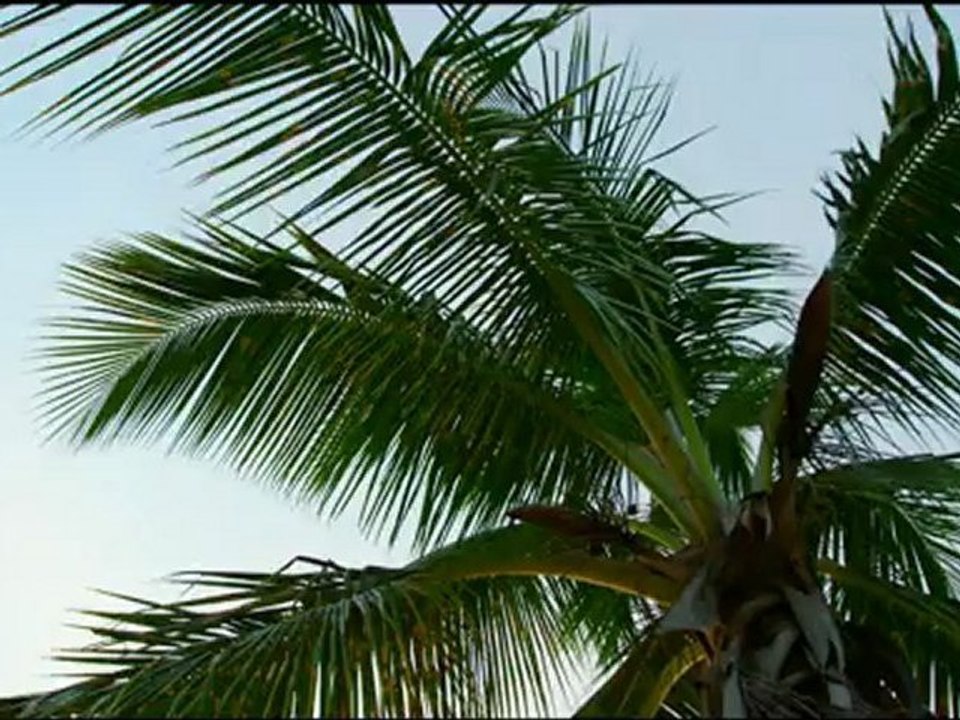 ST. JOHN - U.S. VIRGIN ISLANDS in 4K by Jacob Schwarz