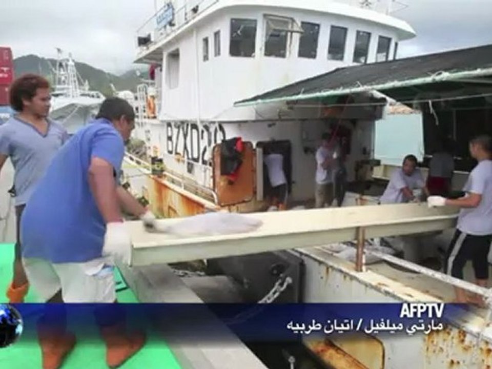 أكبر محمية بحرية في العالم