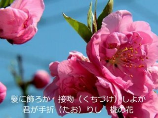 蘇州夜曲 / 李香蘭（カバー）