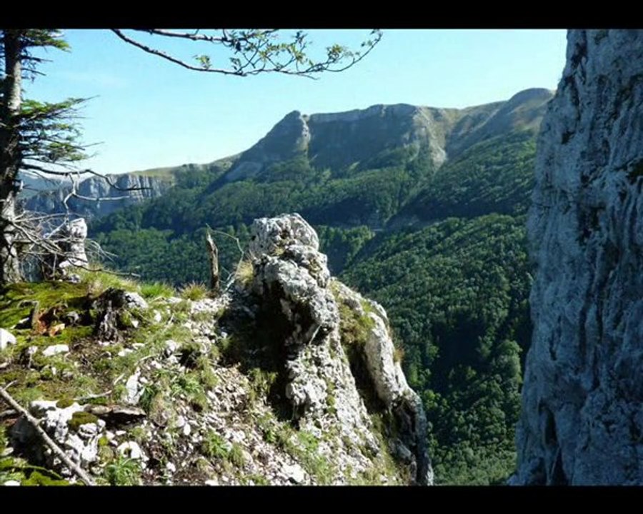 Trail  tour du Toulau  et Crete de Comblezine (Vercors centre)