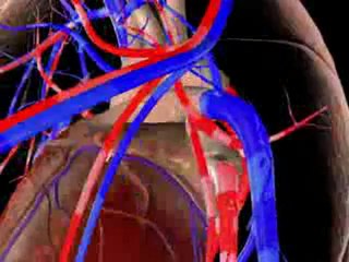 Blood Pressure_ Causes and Factors