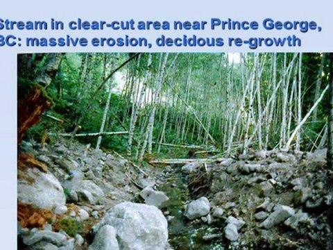 2008 Impacto en rios (2/2) , Cursos Verano