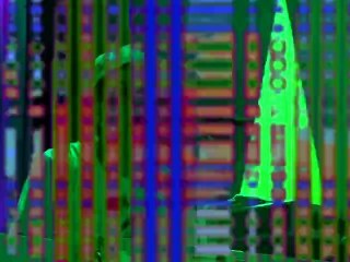 Animal Collective - Today's Supernatural (Live @ Prospect Park