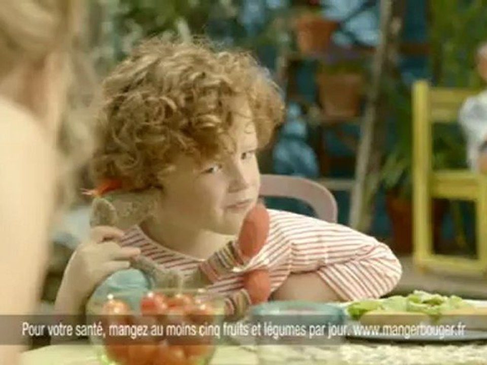 Findus Publicis