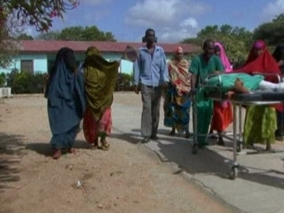 New Somali president faces al Shabaab threat