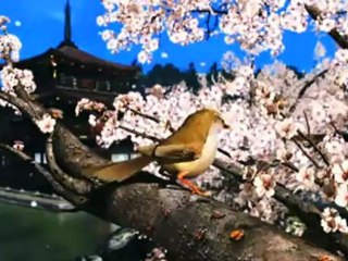 Resumen de la conferencia de Nintendo en el E3 2011