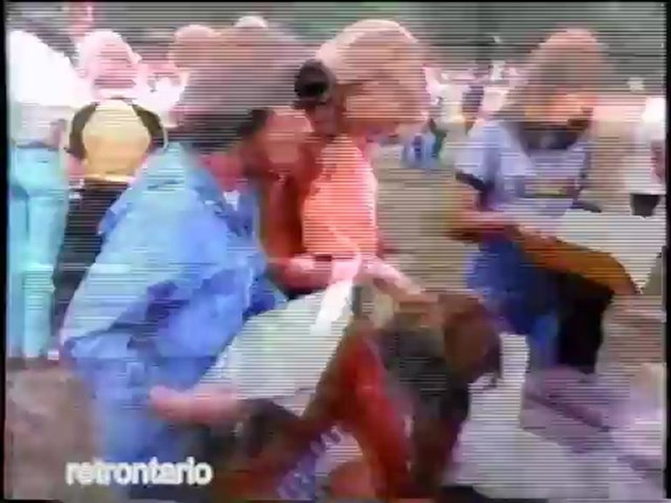 4H 1981