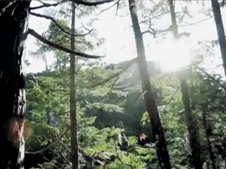 Taylor Steele's 2012 Innersection Surf Video Contest: Round 1